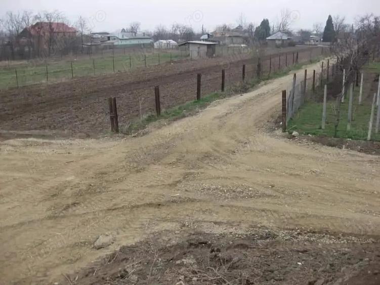 Teren de 500 mp, în Bolintin-Deal