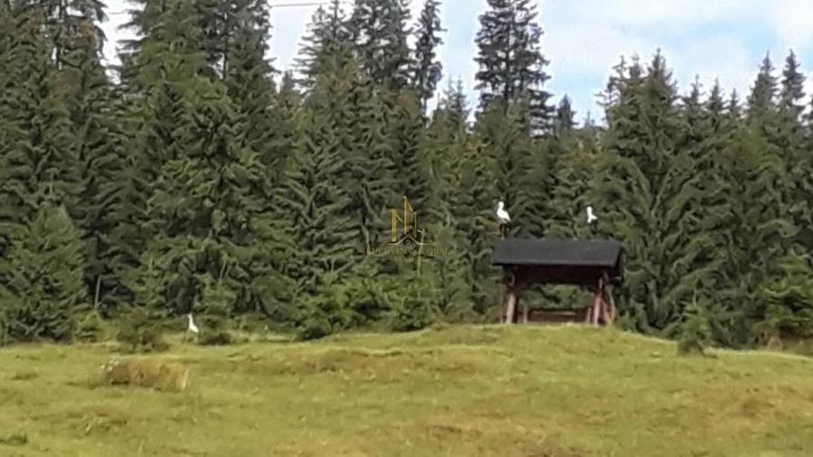 Teren de 32522 mp, în Valea Putnei