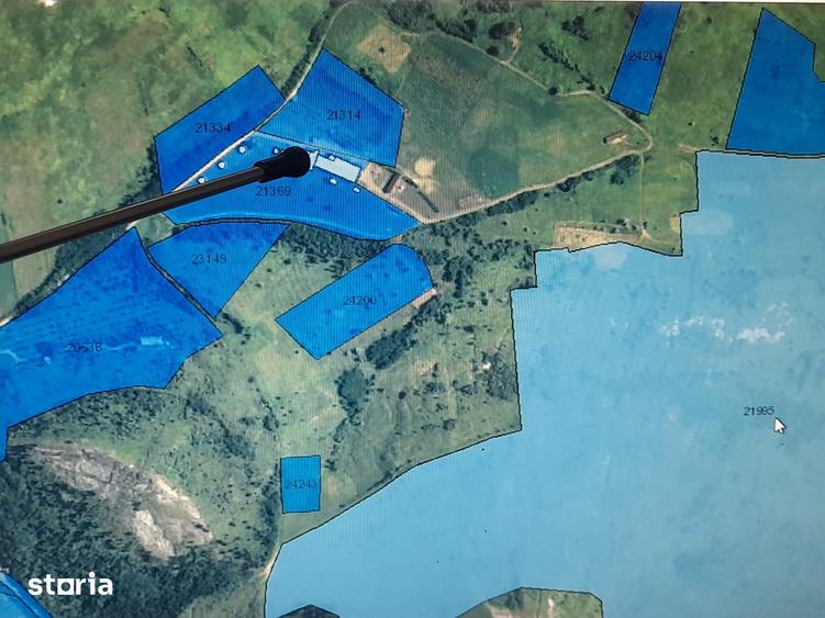 Teren de 500000 mp, în Gura Vadului