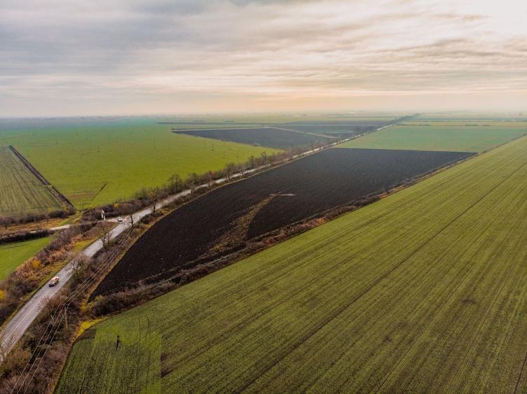 Teren agricol extravilan de 46001 mp, în Gai