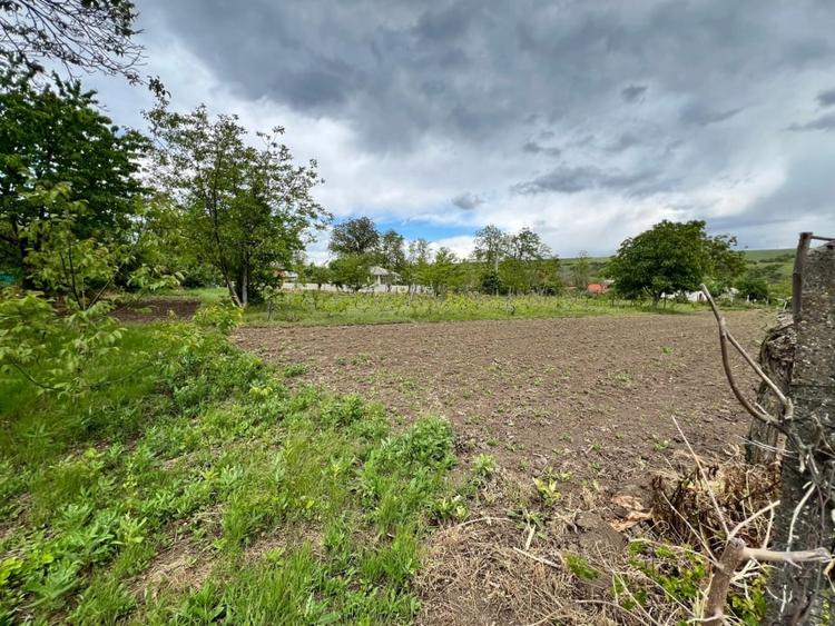 Casă individuală cu 4 camere cu Teren 4430 Mp în Tecucelu Sec