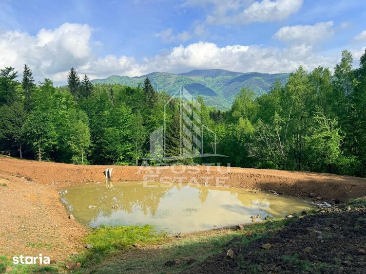 Teren de 18000 mp, în Central