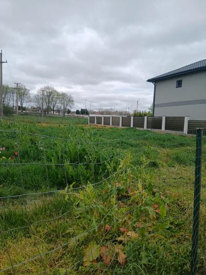 Teren Construcții intravilan de 980 mp, în Elvila