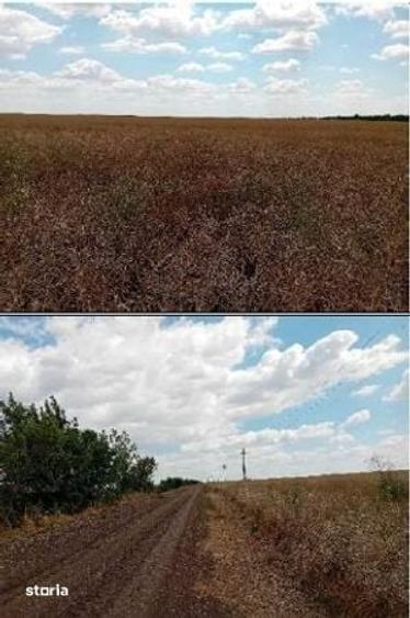 Teren de 7500 mp, în Salcia