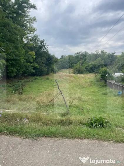 Teren intravilan 1.900 mp,zona Dorohoi,str Viilor - Dorohoi (Botosani) - 1