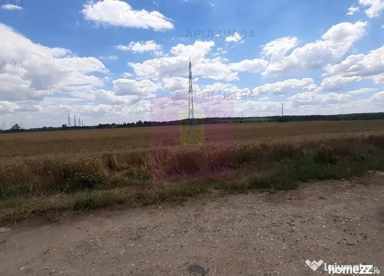 Teren 715mp in Snagov langa Equestria - 4