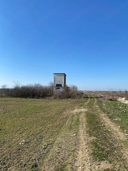 Teren de 5800 mp, în Corbii Mari