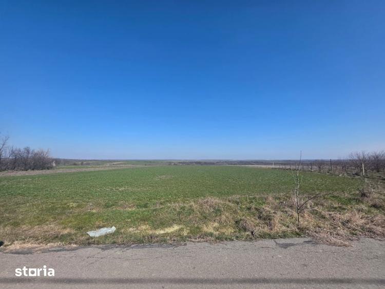 Teren de 3800 mp, în Mischii