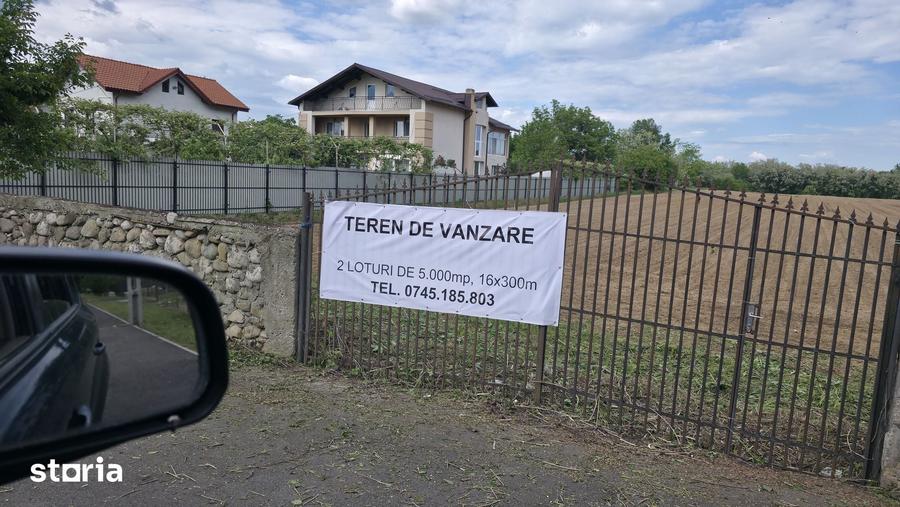 Teren de 10000 mp, în Central