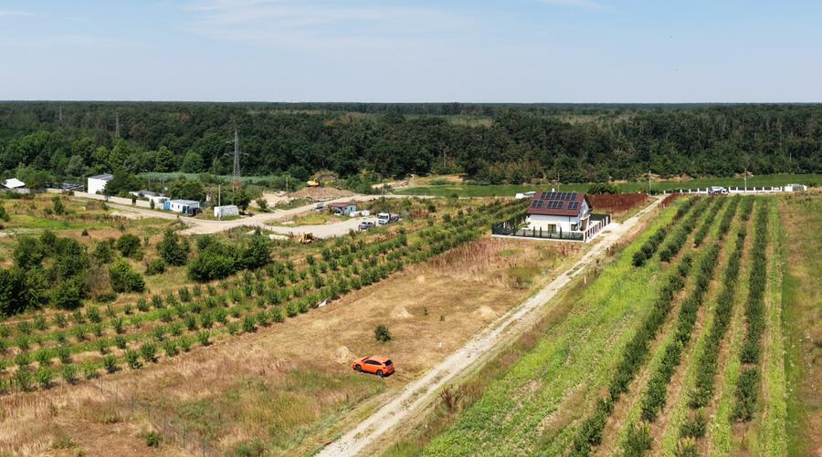 Teren Construcții intravilan de 728 mp, în Brănești