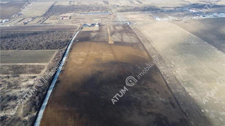 Teren agricol extravilan de 132903 mp, în Exterior Vest