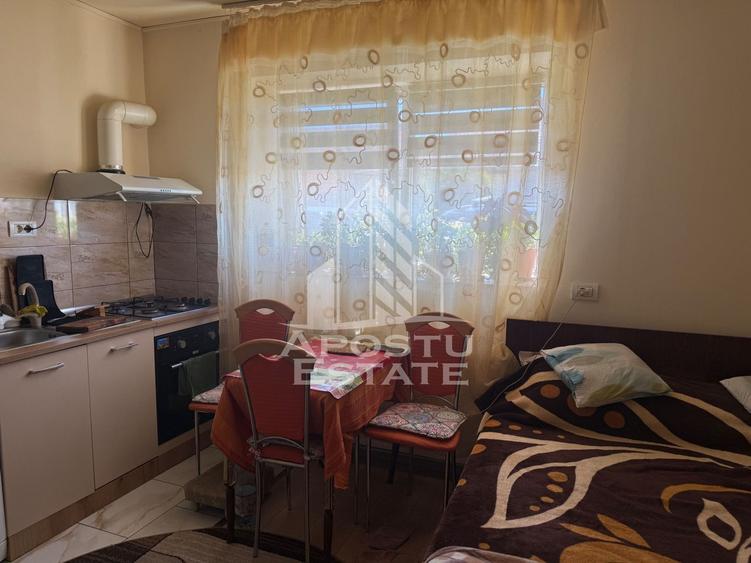 Casă individuală cu 7 camere cu Canalizare în Buziașului