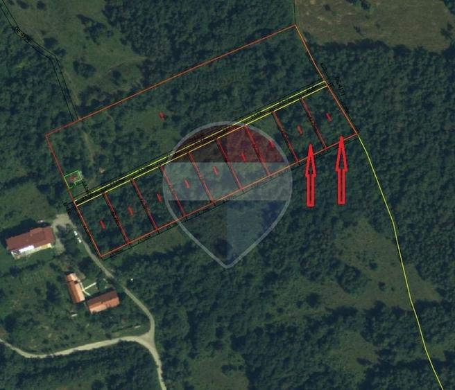 Teren Construcții intravilan de 2034 mp, în Viștișoara