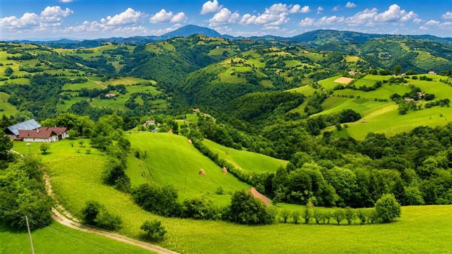 Teren Construcții intravilan de 10335 mp, în Poiana Mărului