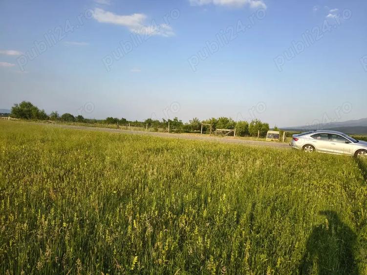 Teren de 1800 mp, în Cârțișoara