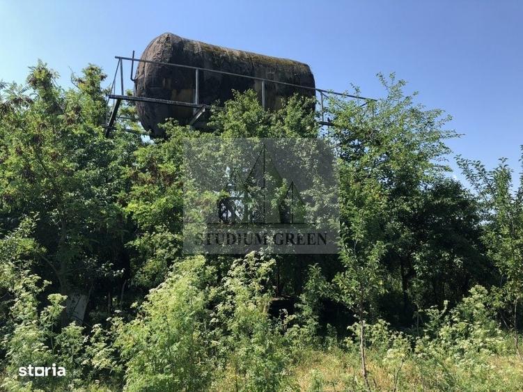 Spațiu comercial, în Cetatea