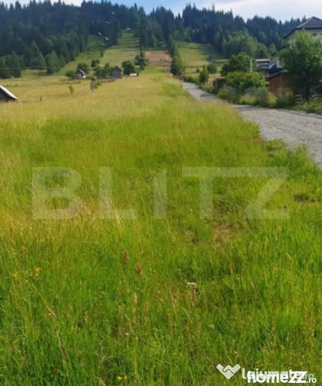 Teren 9.755 mp, intravilan, parcelabil, zona Vatra Dornei - 3