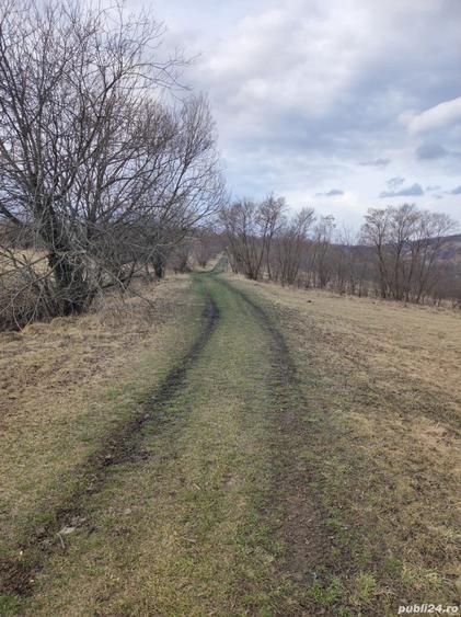 Teren de 1000 mp, în Coman