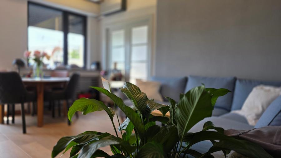 Apartament cu 3 camere semidecomandat în Calea Victoriei