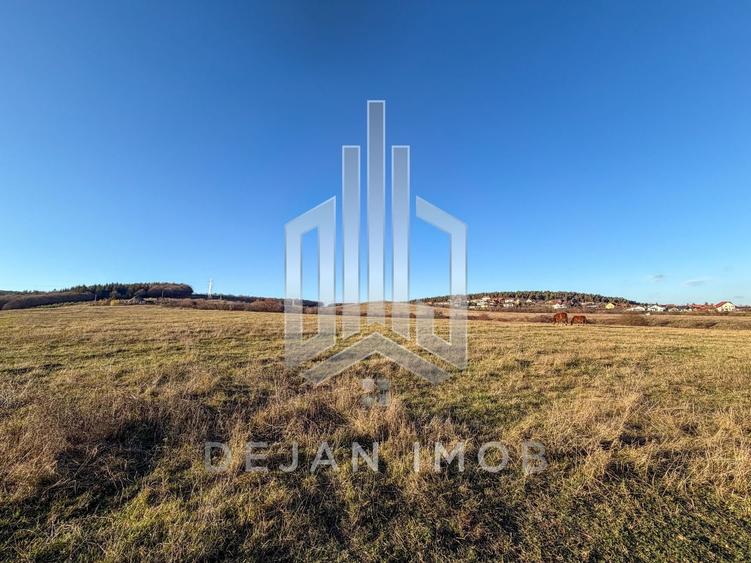 Teren agricol extravilan de 1500 mp, în Simeria
