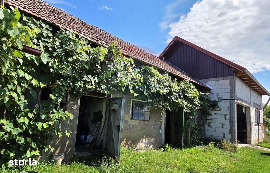 Casă cu 3 camere cu Teren 3177 Mp în Dumbrăvioara