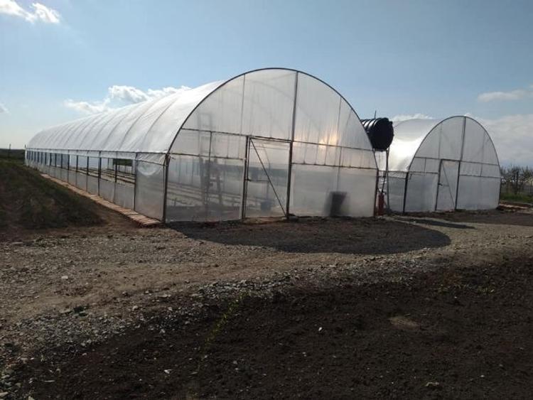 Casă cu 2 camere cu Teren 2000 Mp în Lilieci