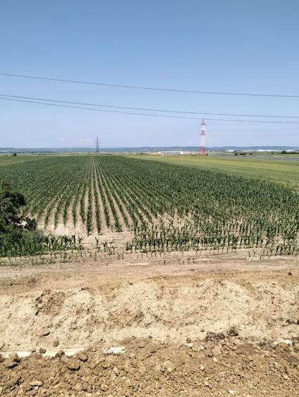 Teren agricol extravilan de 8400 mp, în Oarja