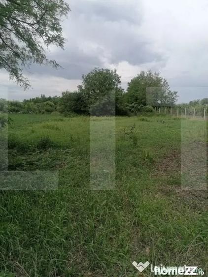 Casă cu 3 camere cu Teren 1724 Mp în Brăești