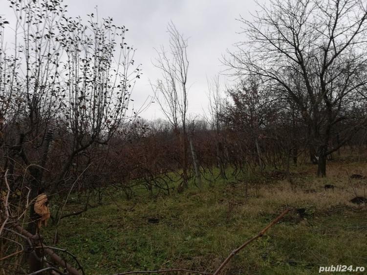 Casă cu 6 camere cu Teren 1848 Mp în Pașcani
