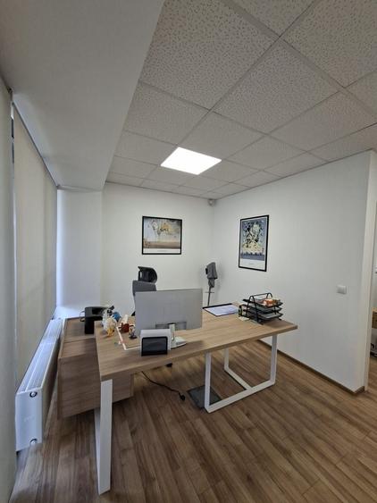Birou, de 160.19000244141 mp, în Elisabetin