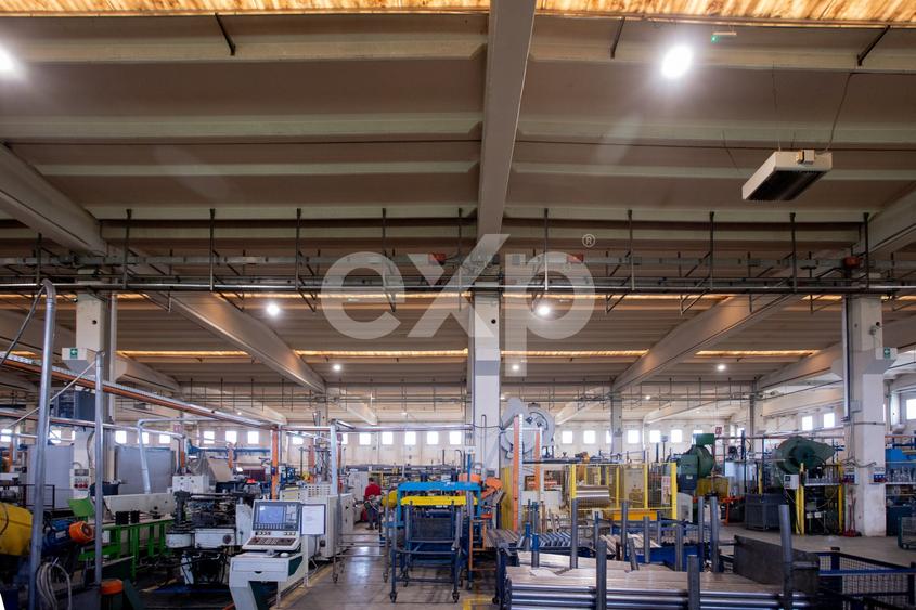 Spațiu industrial, de 5,100 mp, în Mioveni