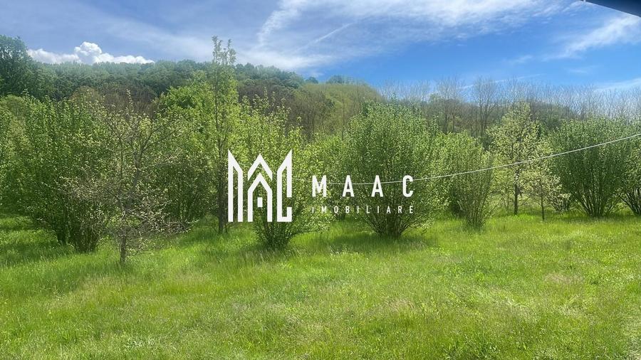 Teren agricol extravilan de 61000 mp, în Veseud (Slimnic)