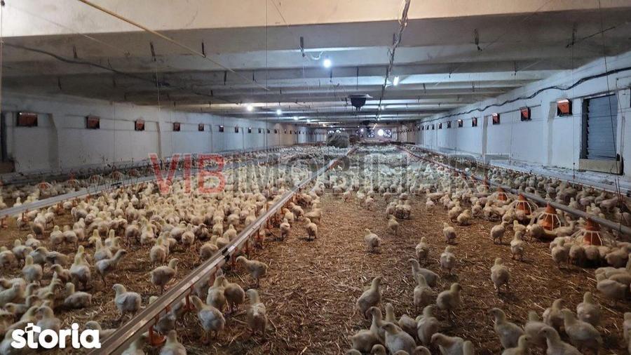 Spațiu comercial, de 5,000 mp, în Central