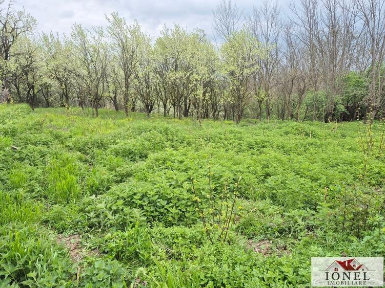 Teren Construcții intravilan de 1295 mp, în Straja