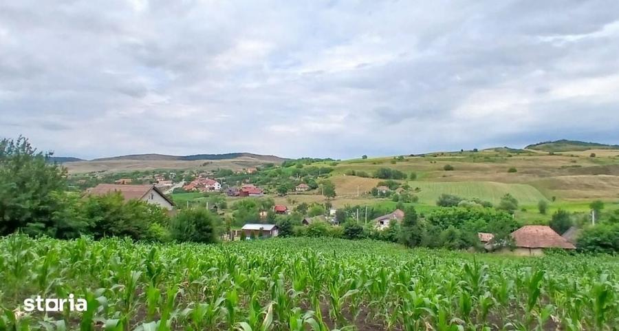 Casă cu 2 camere cu Teren 7000 Mp în Central