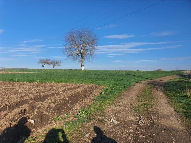 Teren extravilan 4.500- max.18.300mp in comuna Rosia (17 km de Sibiu) - 5