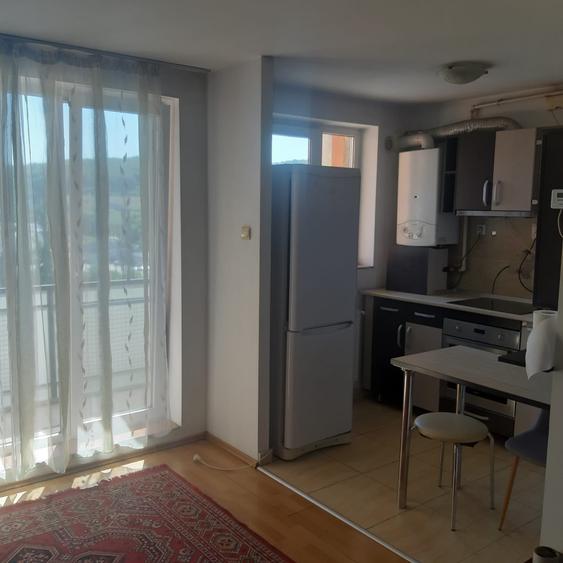 Apartament 1 cameră, 36 mp, balcon, mobilat, Calea Baciului - 1
