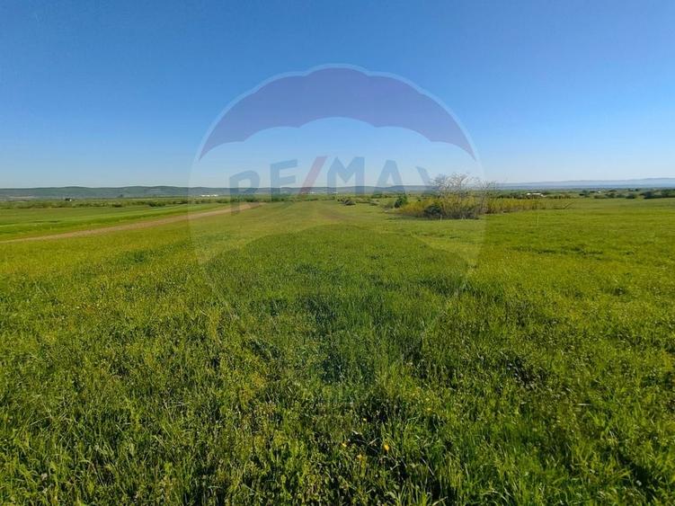 Teren agricol extravilan de 1668 mp, în Gura Râului