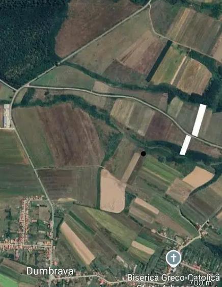 Teren de 8632 mp, în Holod