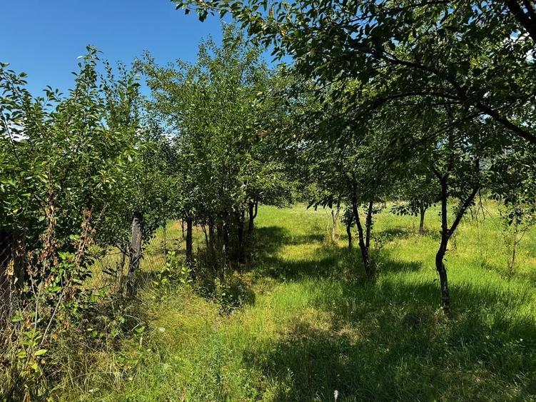 Teren de 935 mp, în Sălătrucel