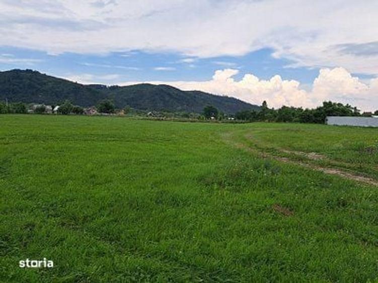 Teren de 17500 mp, în Central