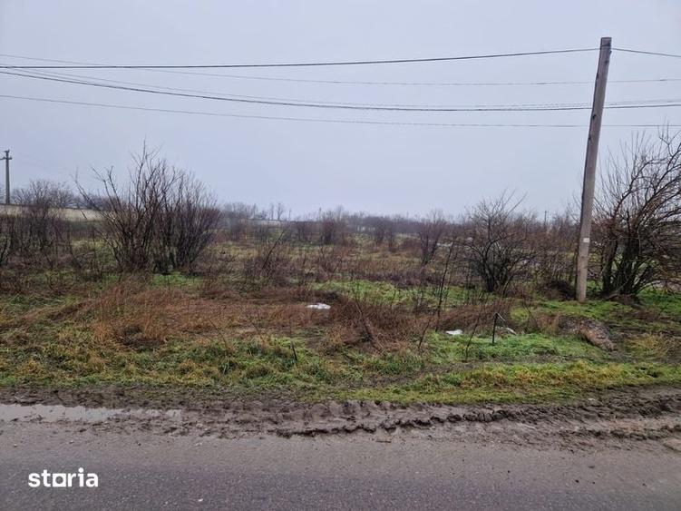 Teren de 13000 mp, în Frăsinet