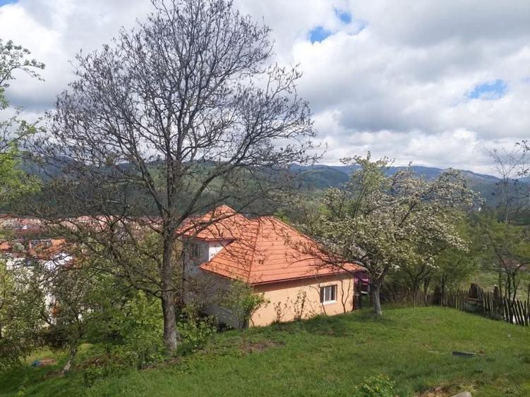 Casă cu 4 camere în Central