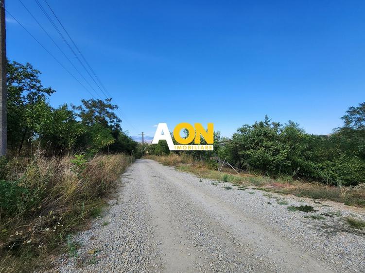 Teren Construcții intravilan de 728 mp, în Oarda