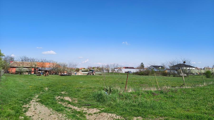 Teren de 2880 mp, în Zărand