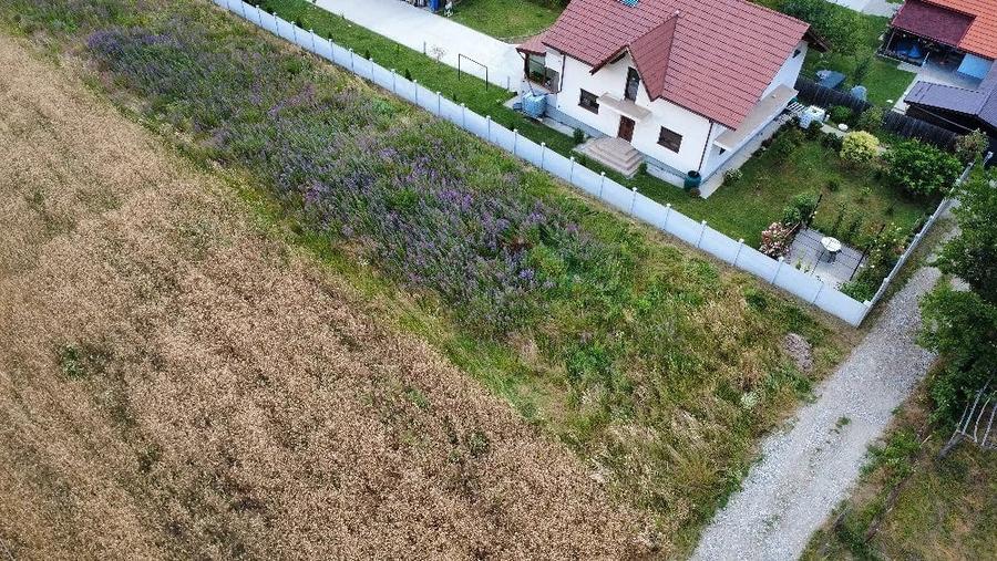 Teren de 1500 mp, în Budești