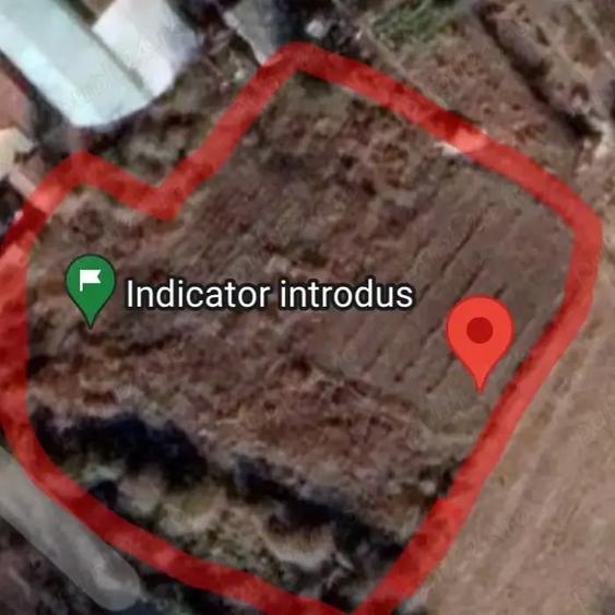 Teren de 3000 mp, în Mărăcineni