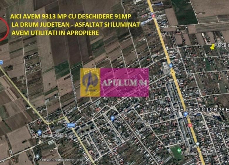 Teren Construcții intravilan de 9313 mp, în 1 Decembrie