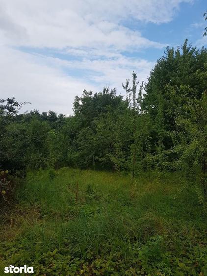 Teren de vanzare in Bucium, 1000mp, acces asfaltat - 3