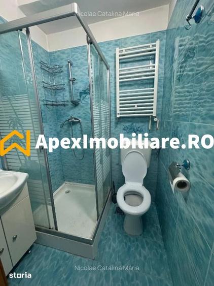 Apartament 1 camere de inchiriat P-ta Romana Bucuresti | ApexImobiliar - 7